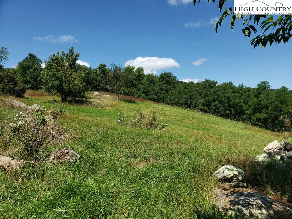 Image number 10 for the current listing