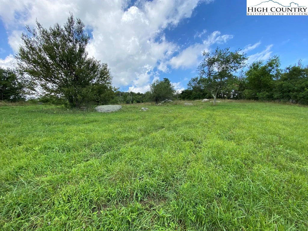 Image number 8 for the current listing