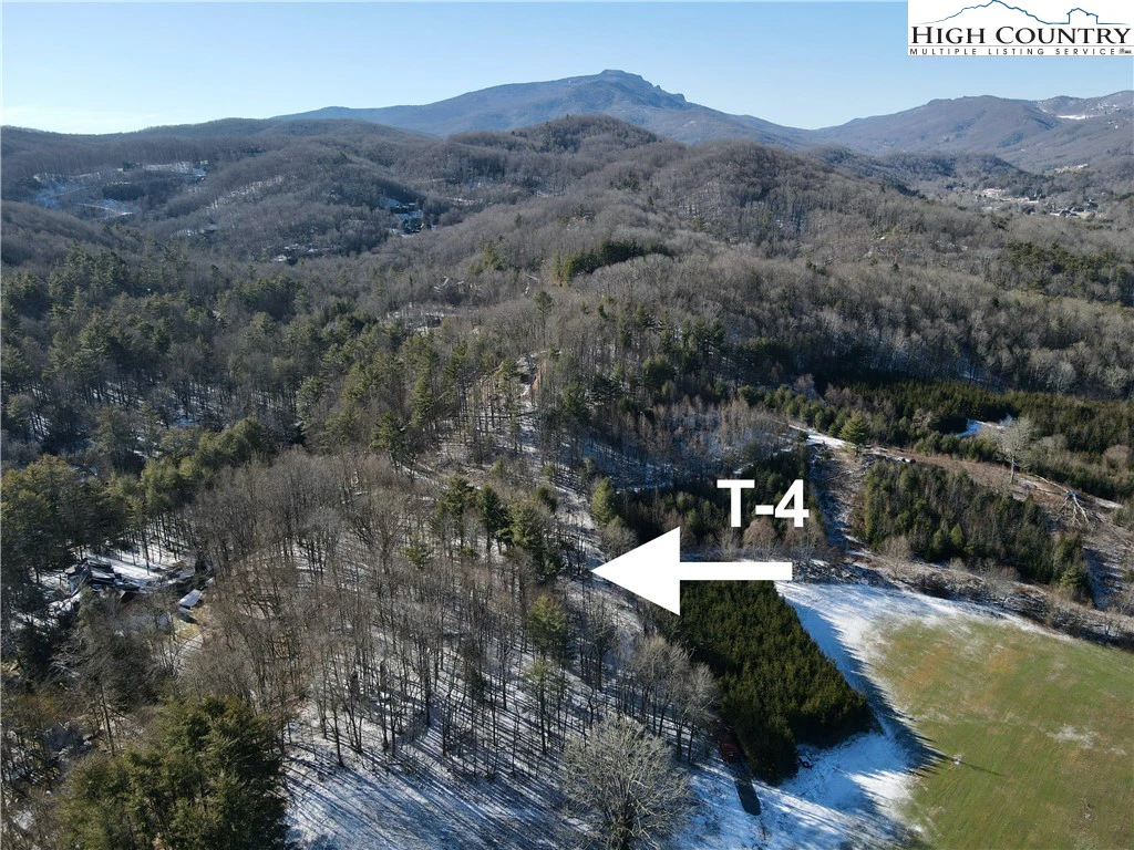 Image number 1 for the current listing
