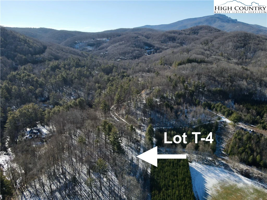 Image number 10 for the current listing
