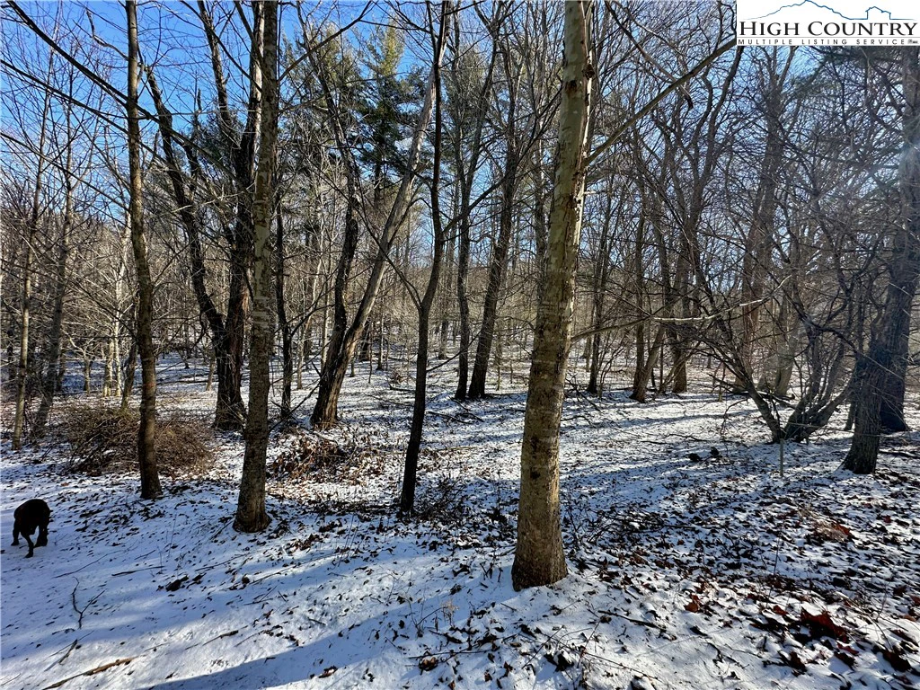 Image number 12 for the current listing