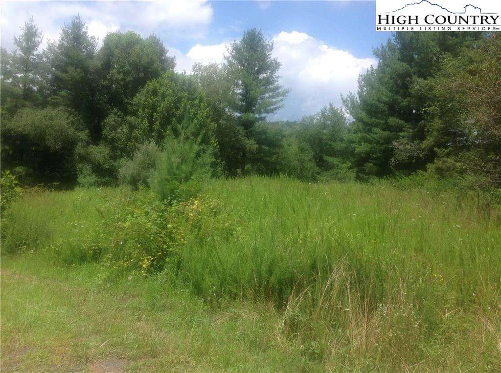 Image number 1 for the current listing