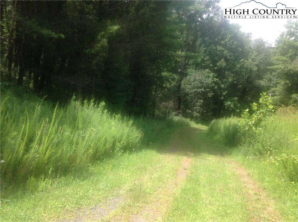 Image number 3 for the current listing