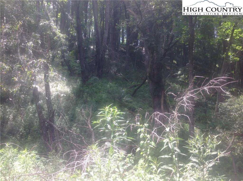 Image number 4 for the current listing