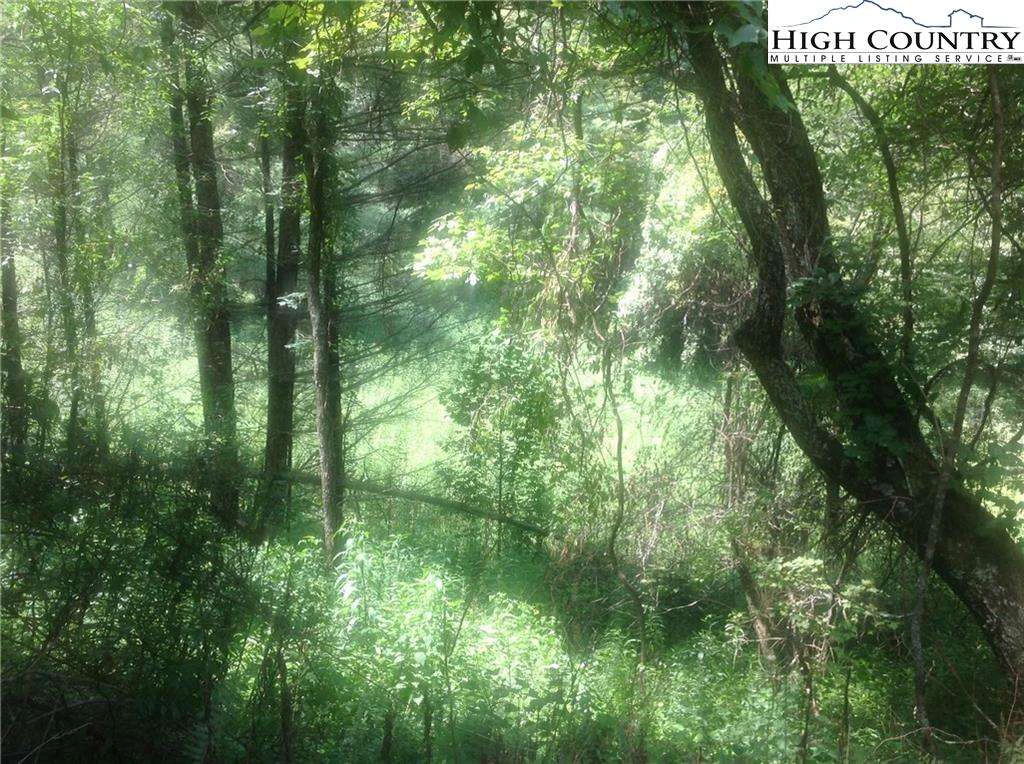 Image number 6 for the current listing