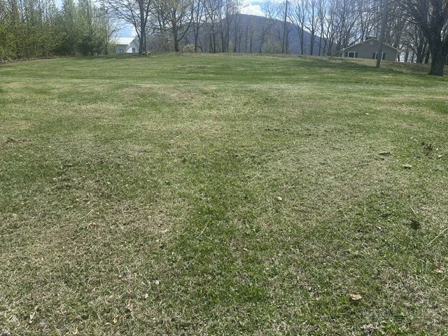Image number 2 for the current listing