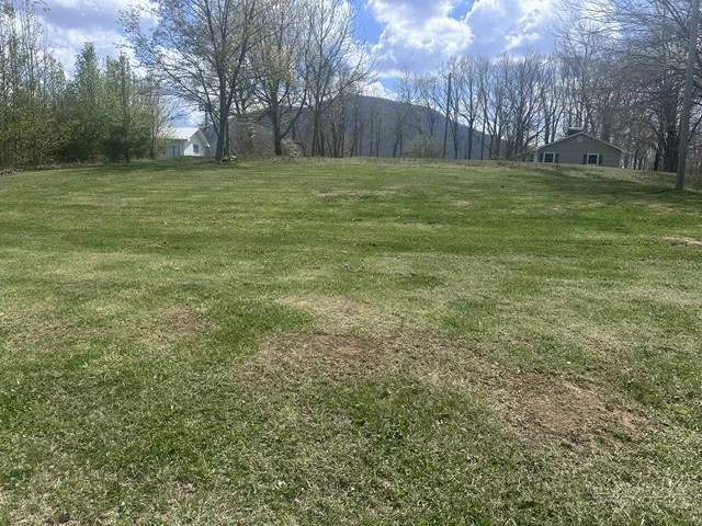 Image number 3 for the current listing