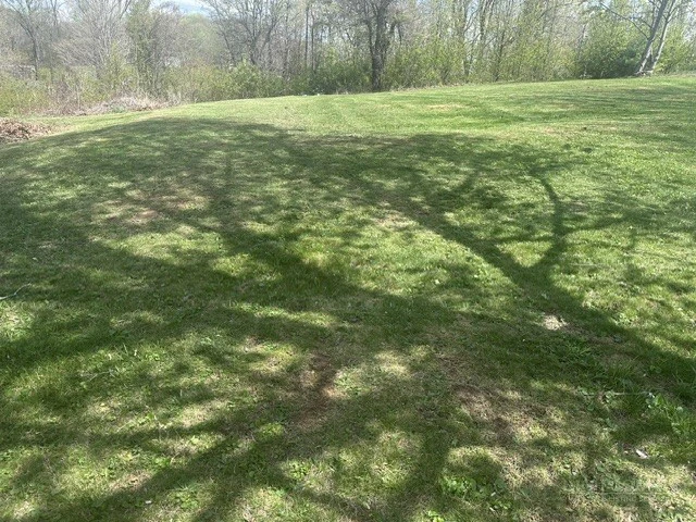 Image number 5 for the current listing