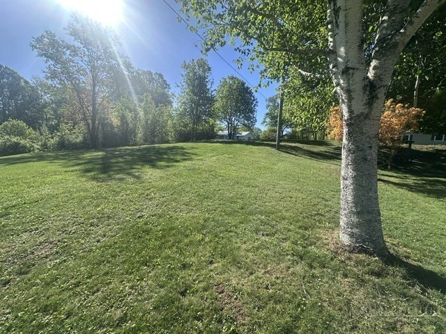 Image number 11 for the current listing