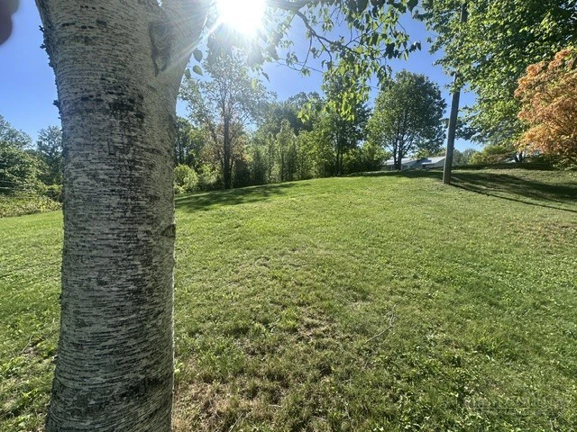 Image number 12 for the current listing