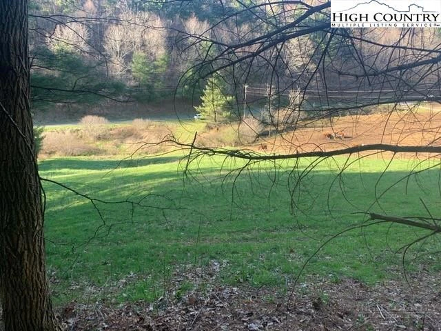 Image number 16 for the current listing