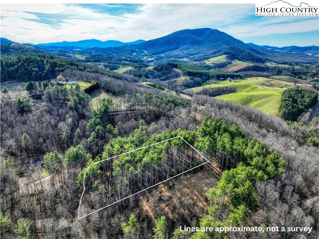 Image number 1 for the current listing