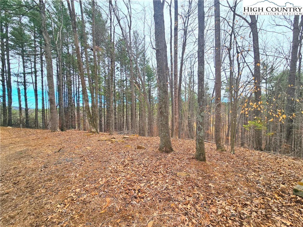 Image number 19 for the current listing