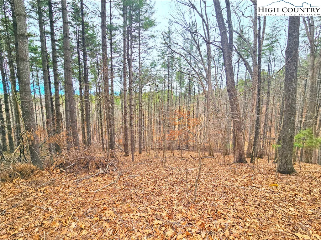 Image number 18 for the current listing