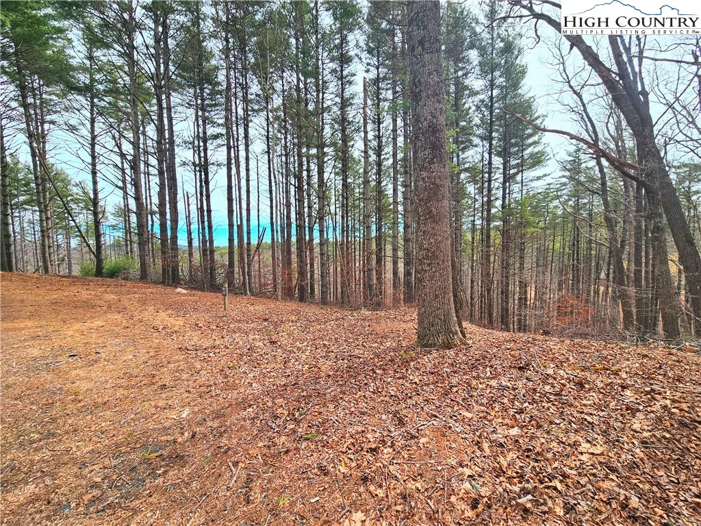 Image number 17 for the current listing