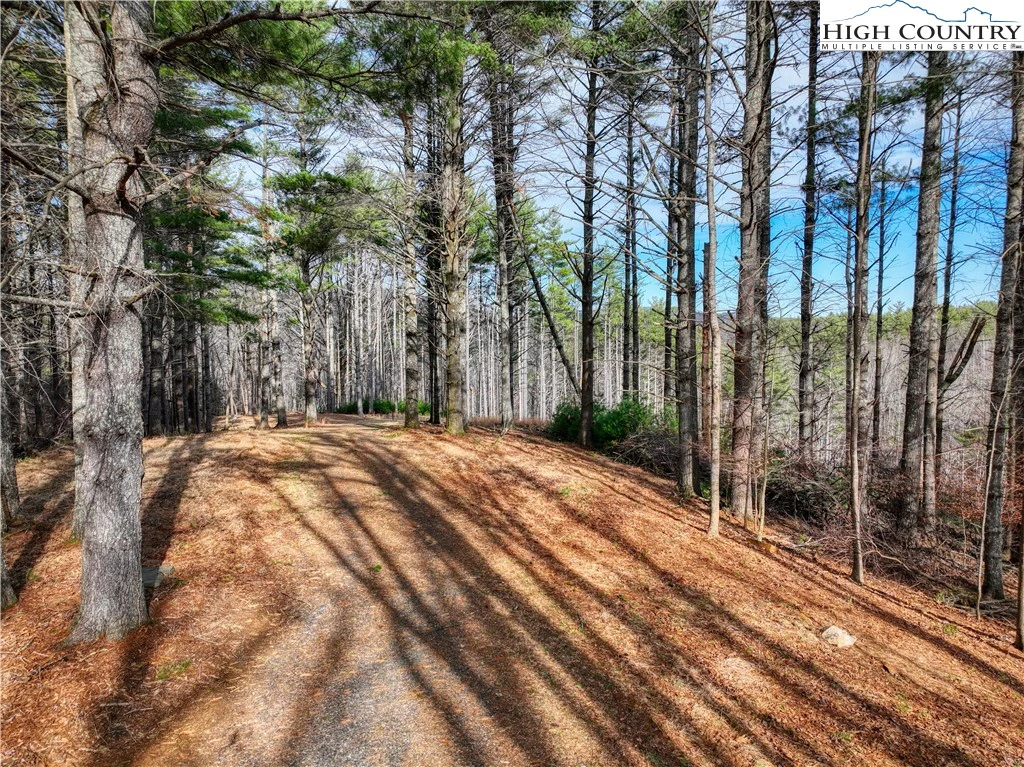 Image number 16 for the current listing