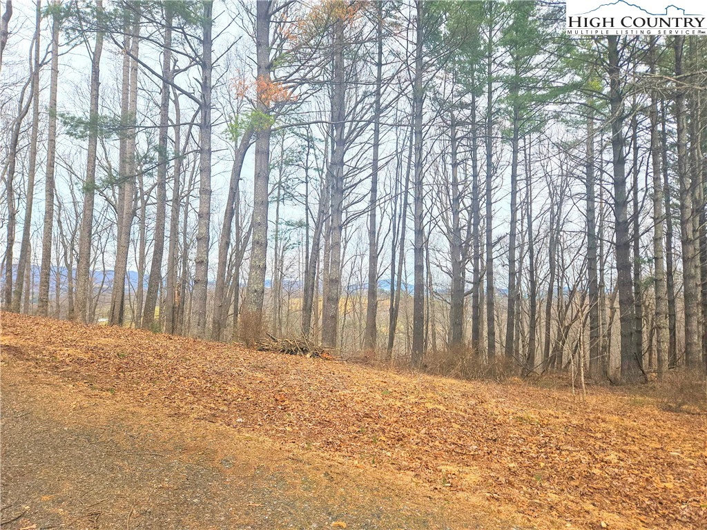 Image number 14 for the current listing