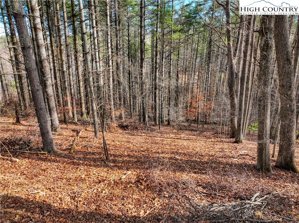 Image number 11 for the current listing