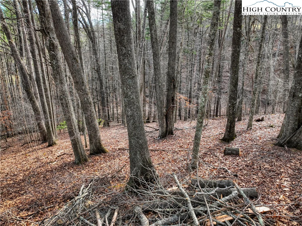 Image number 9 for the current listing