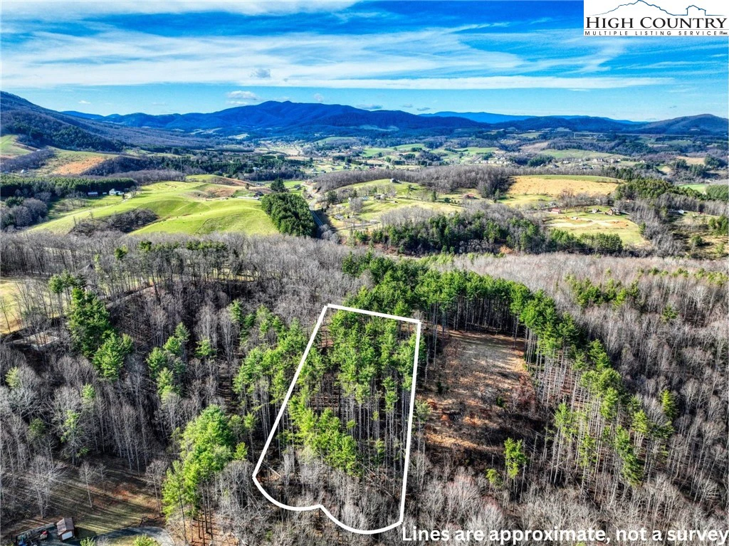 Image number 3 for the current listing