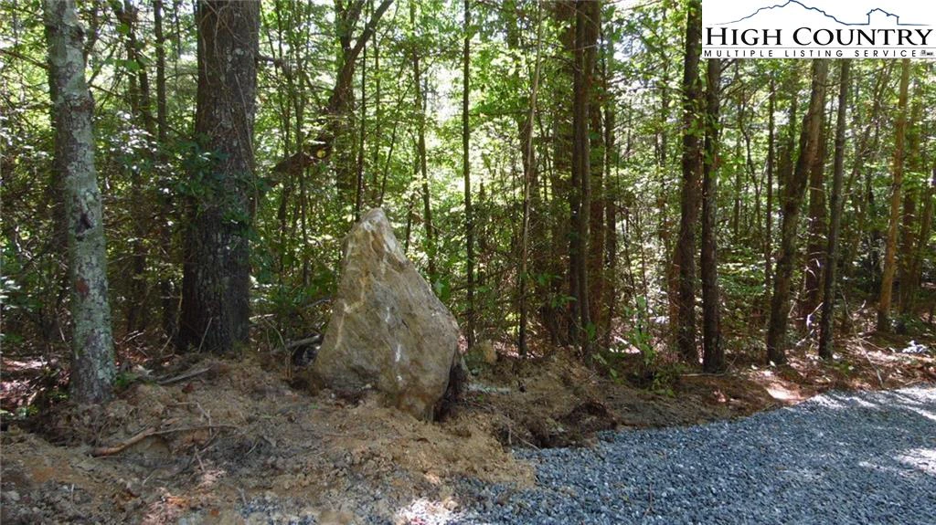 Image number 3 for the current listing