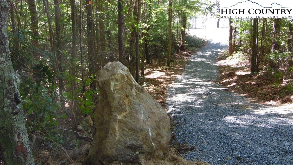 Image number 4 for the current listing