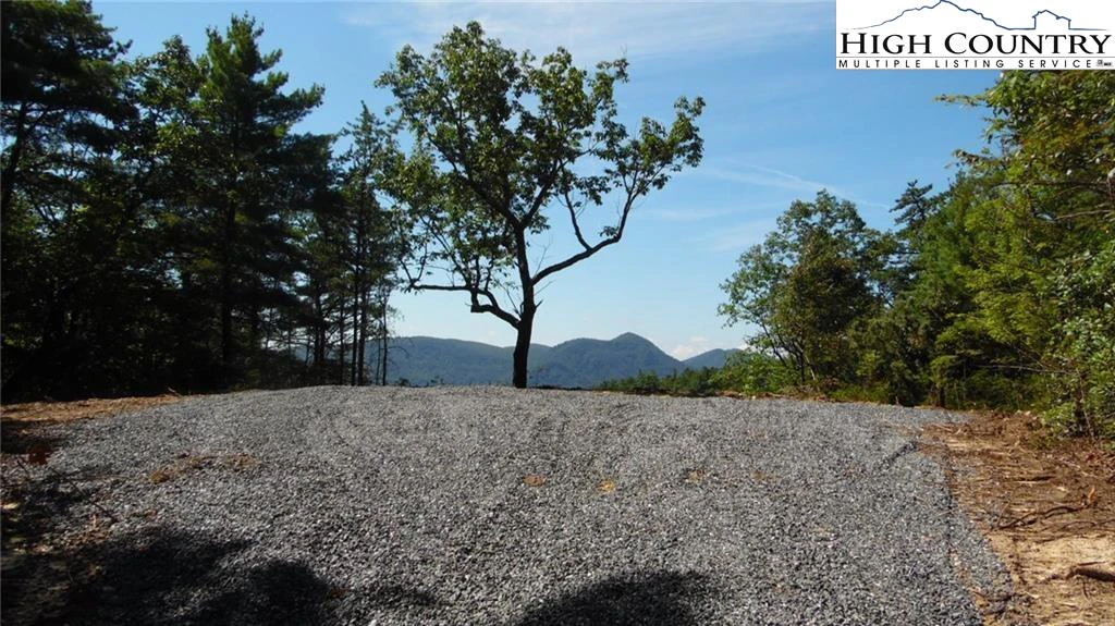 Image number 7 for the current listing