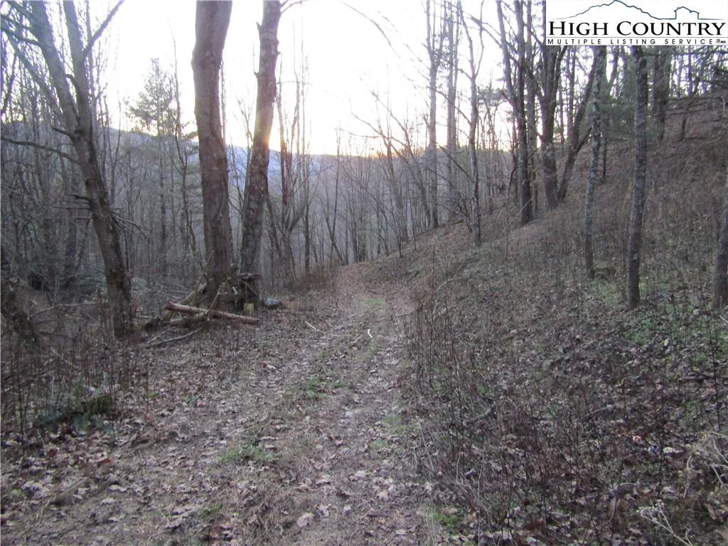 Image number 1 for the current listing