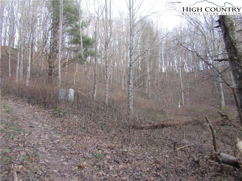 Image number 11 for the current listing