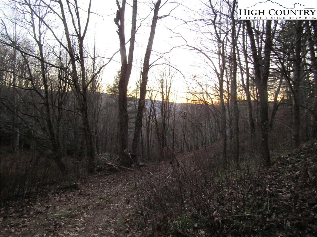 Image number 12 for the current listing