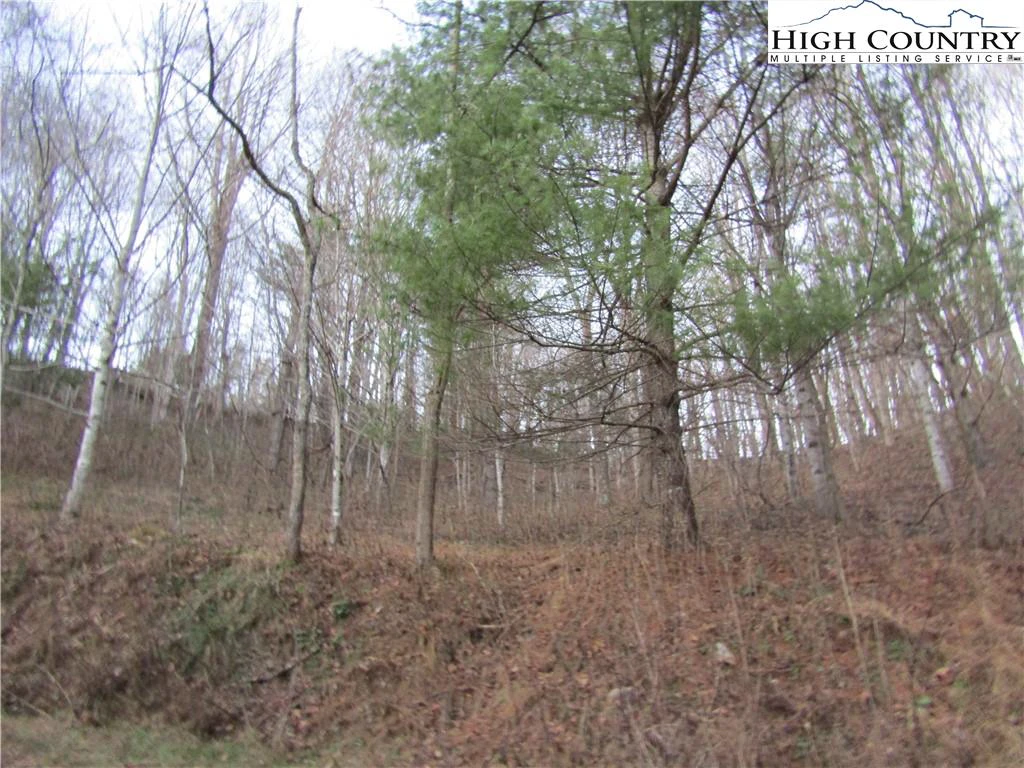 Image number 13 for the current listing