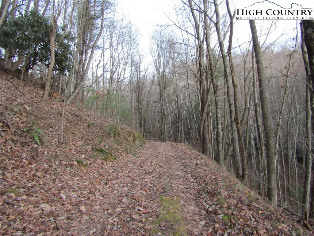 Image number 3 for the current listing