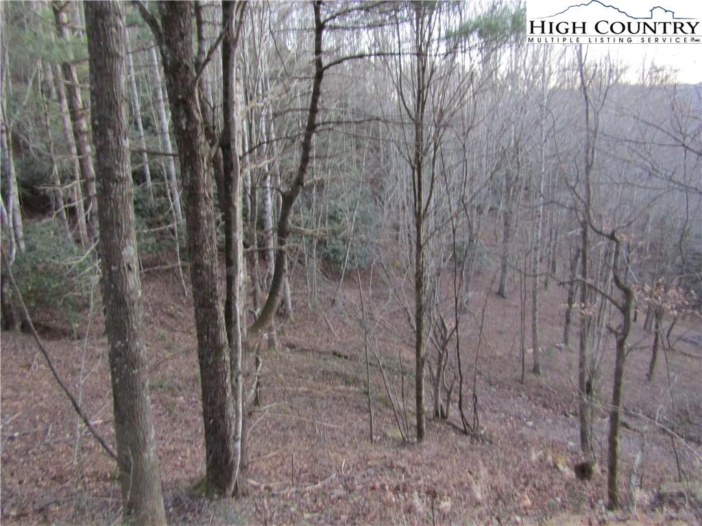 Image number 4 for the current listing