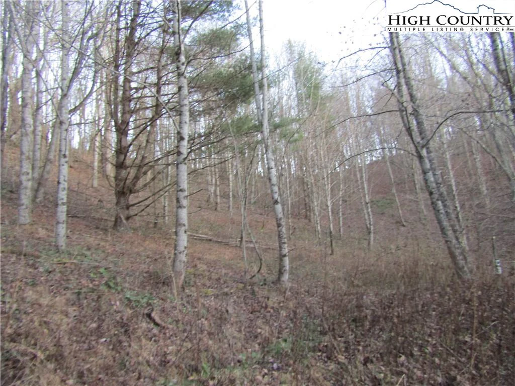 Image number 5 for the current listing