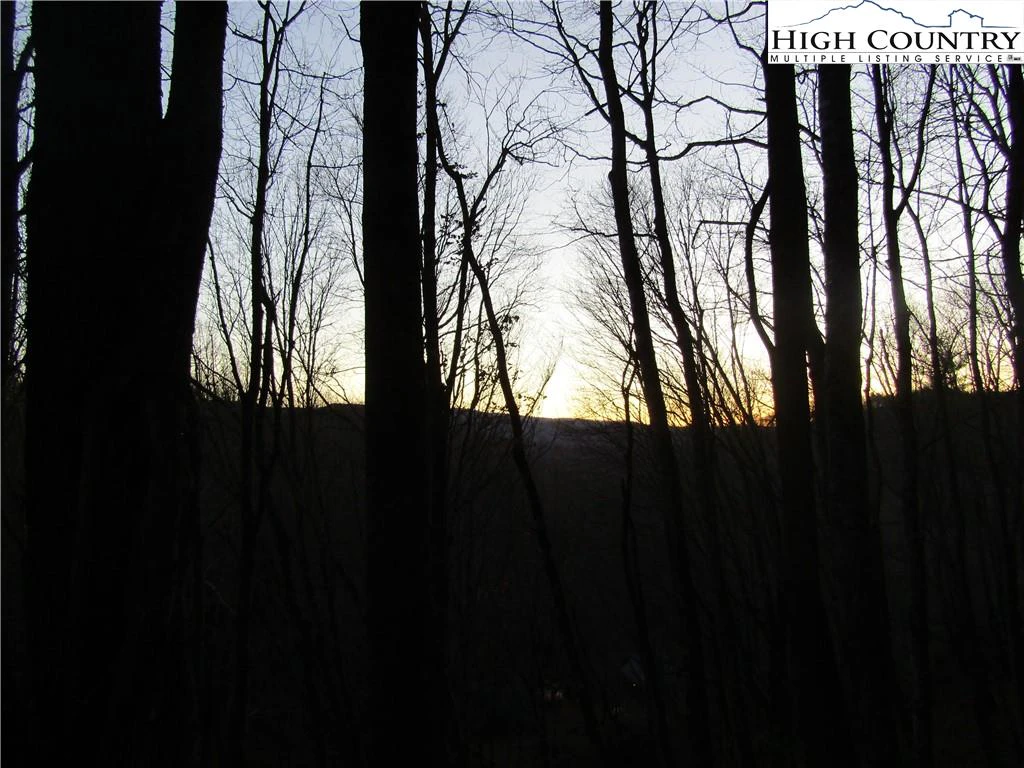 Image number 6 for the current listing