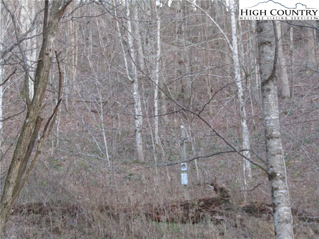 Image number 8 for the current listing