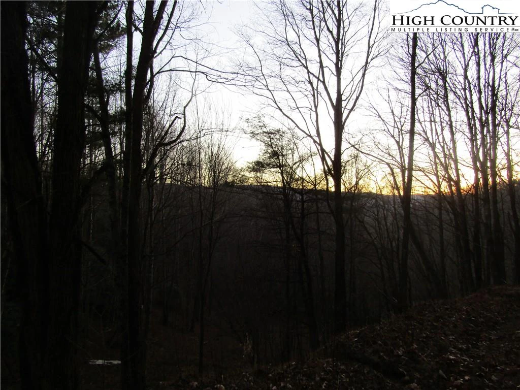 Image number 9 for the current listing