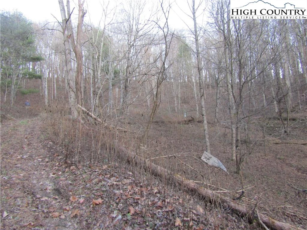 Image number 10 for the current listing