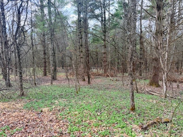 Image number 6 for the current listing