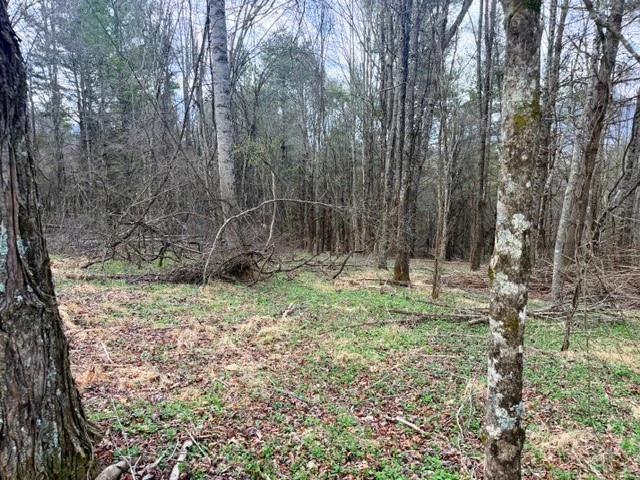 Image number 8 for the current listing