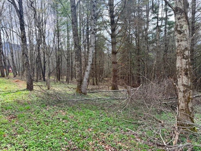 Image number 9 for the current listing