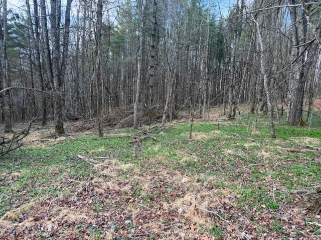 Image number 10 for the current listing