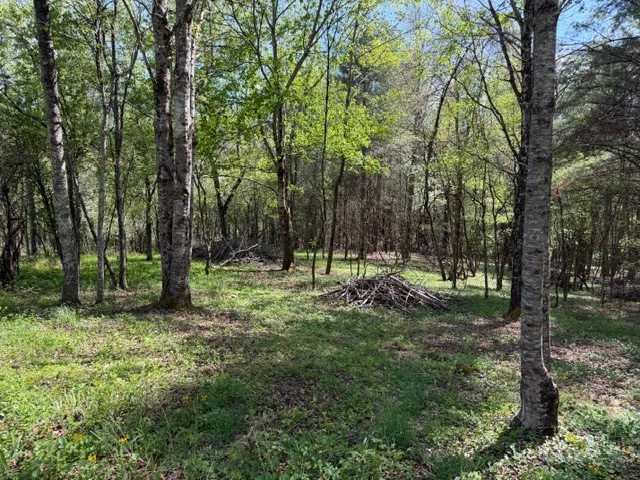 Image number 5 for the current listing