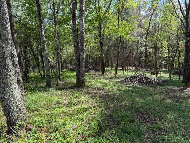 Image number 7 for the current listing
