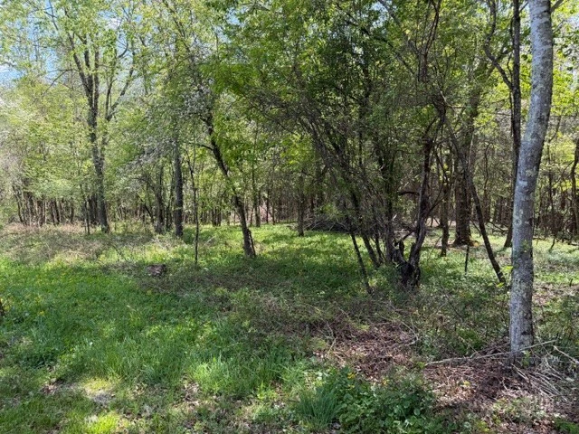 Image number 3 for the current listing