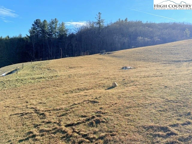 Image number 1 for the current listing