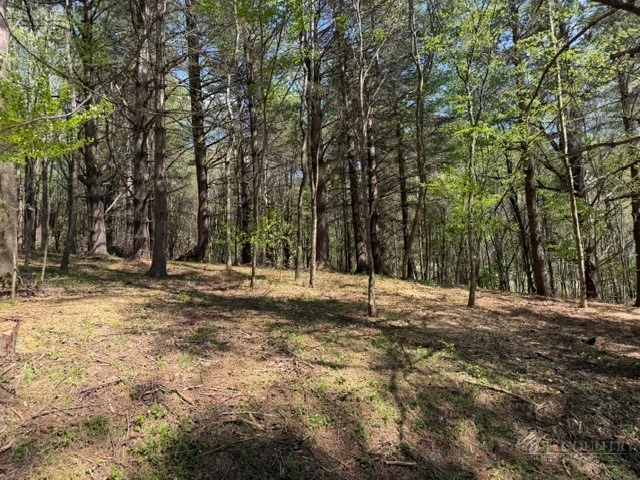 Image number 8 for the current listing