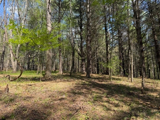 Image number 1 for the current listing
