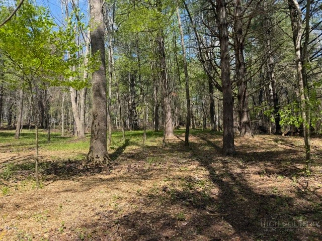 Image number 3 for the current listing