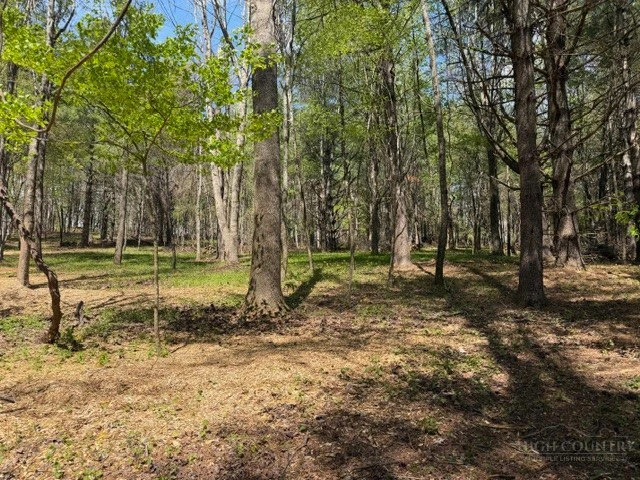 Image number 5 for the current listing
